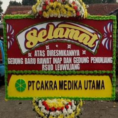 Bunga Papan Bogor 30