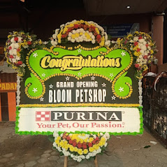 Bunga Papan Bogor 04